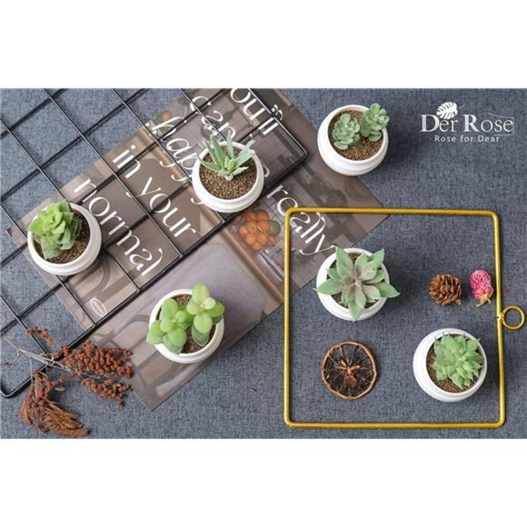 6 pack Succulents Plants Artificial in Pots Small Fake Plants Bedroom Aesthetic - Picture 4 of 6